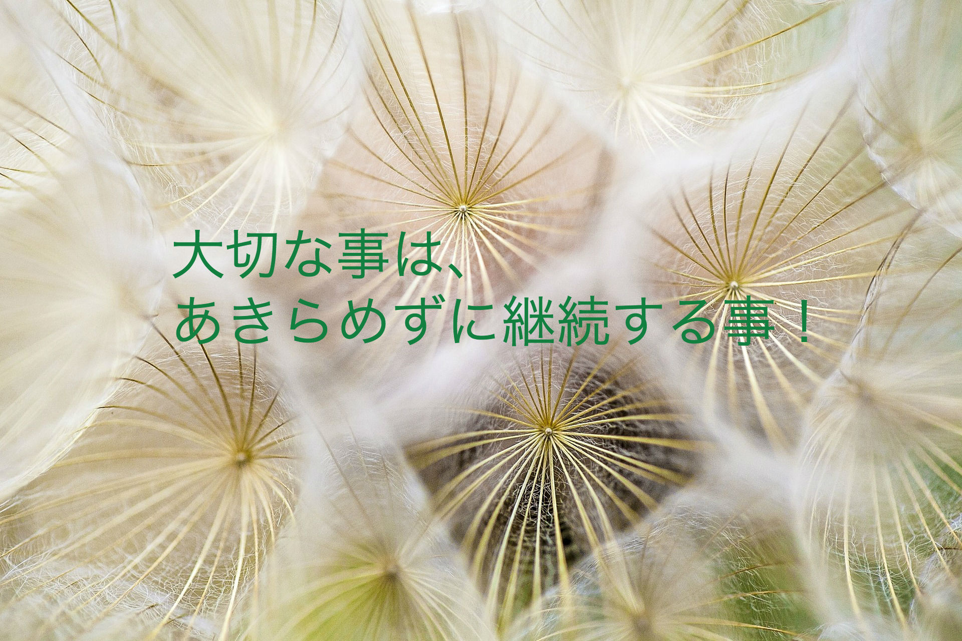 The time of fever. The time of fever
