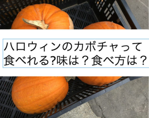 ハロウィンのかぼちゃは食べれる 味は 上手な食べ方をお教えします Shihoのブログな毎日