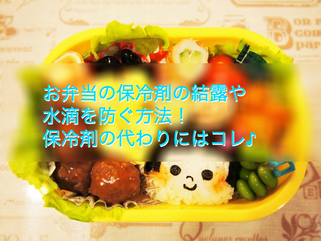 お弁当の保冷剤の結露や水滴を防ぐ方法は 代わりにはコレがおすすめ Shihoのブログな毎日