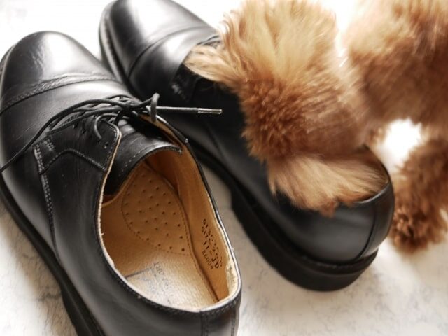 靴の臭いの取り方